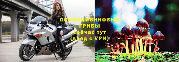 СК Абаза