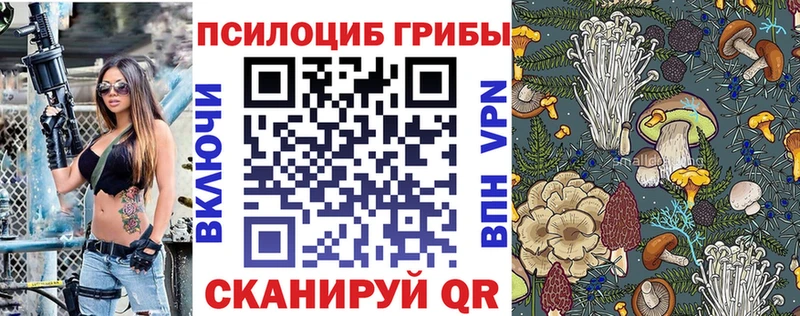 kraken рабочий сайт  Тула  Псилоцибиновые грибы Magic Shrooms  где найти  